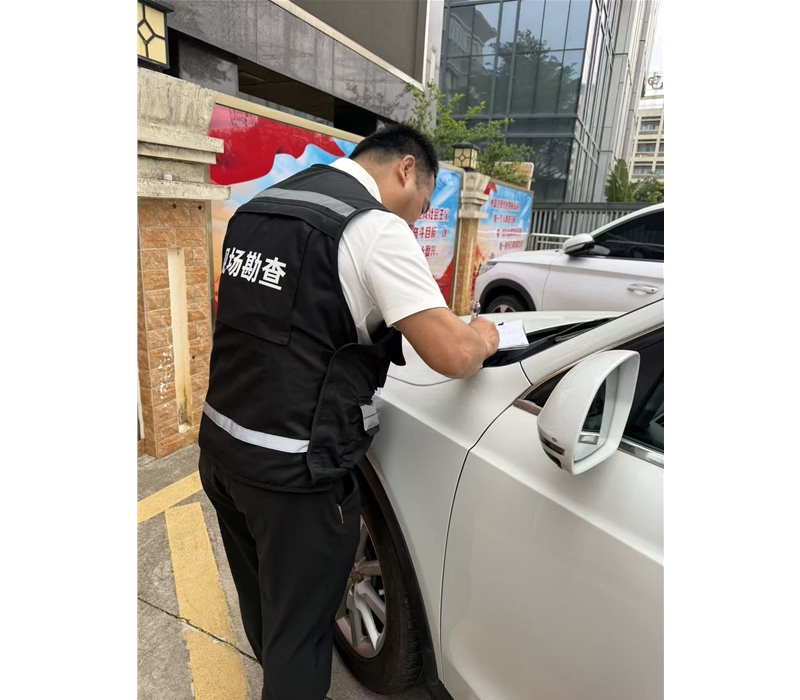 车辆唯一性鉴定